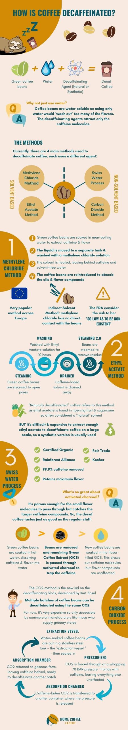 Infographic: How is Decaf Coffee Made?